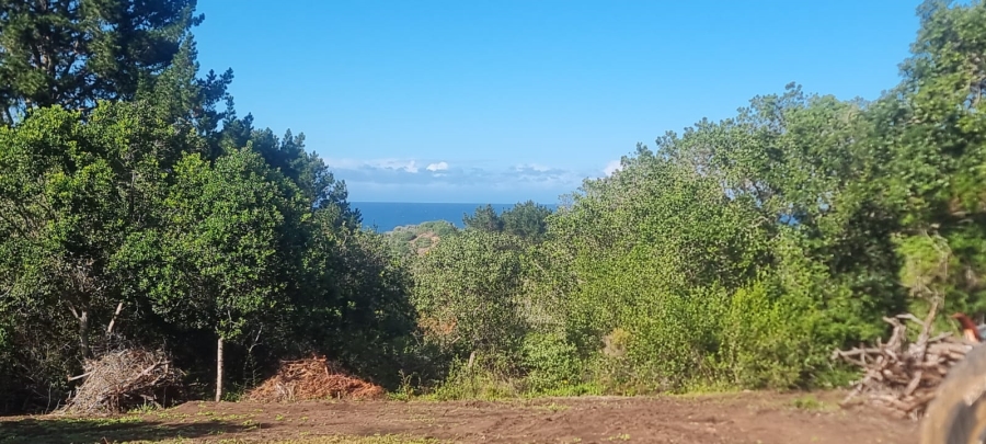 Commercial Property for Sale in Langvlei Dunes Western Cape